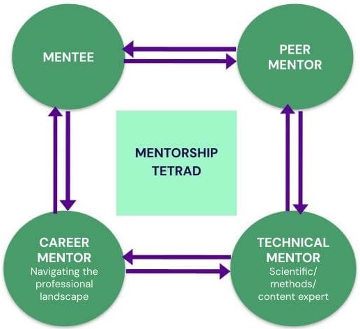 Diagram of the "tetrad" model of ECFI's mentorship